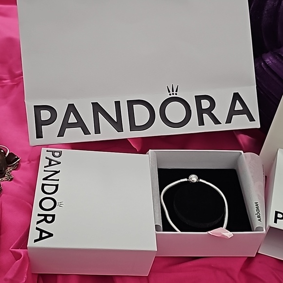 NIB/NIP Pandora Bracelet & Polishing Cloth With (8) Pre-Loved Beads - Picture 11 of 12